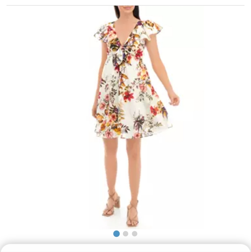Taylor Women's Floral Fit and Flare Dress - White